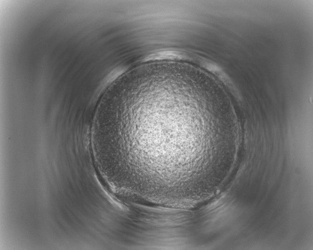 X0000066091233200603131155