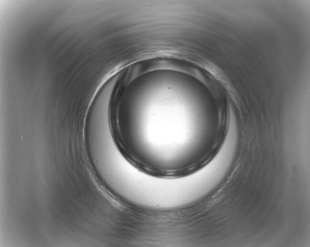 X0000066091234200603131155