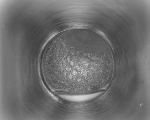 X0000066091235200603131155