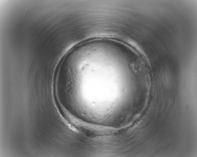 X0000066091237200603131155