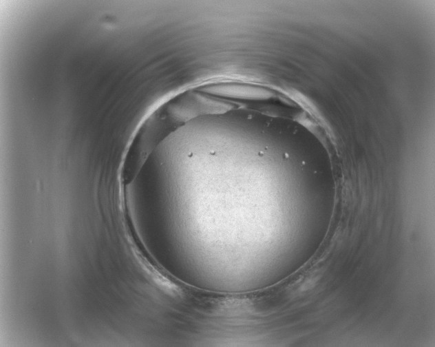 X0000066091238200603131155