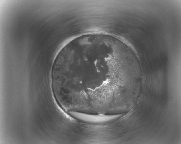 X0000066091239200603131155