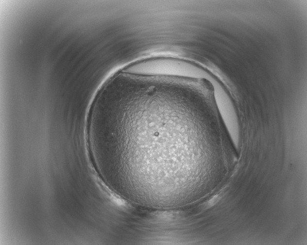 X0000066091240200603131155