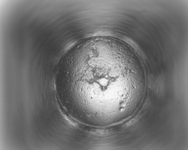 X0000066091241200603131155