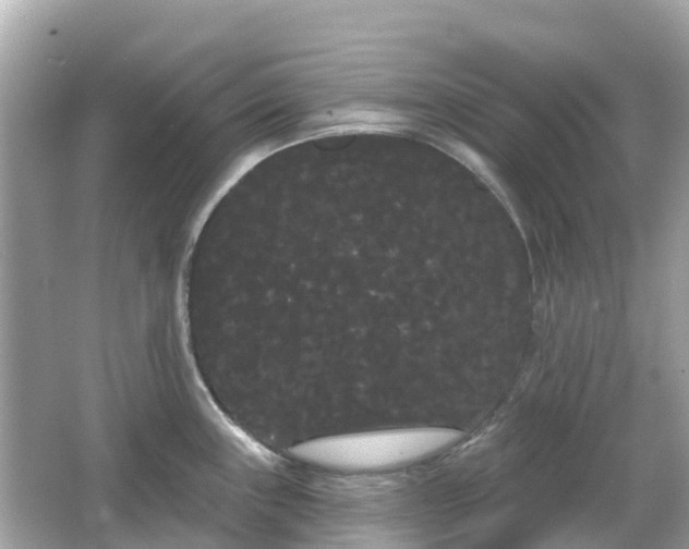 X0000066091243200603131155