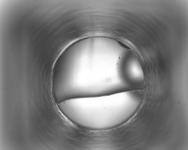 X0000066091244200603131155