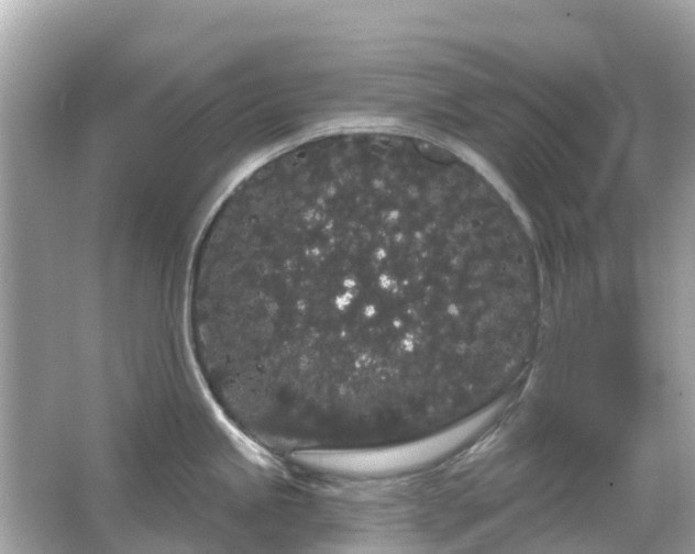 X0000066091245200603131155