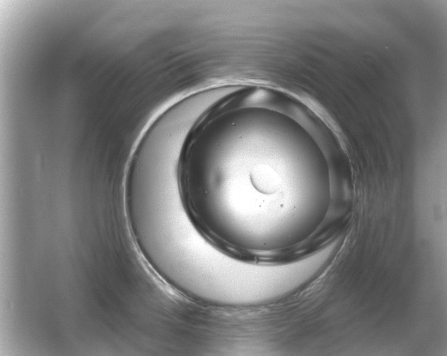 X0000066091246200603131155