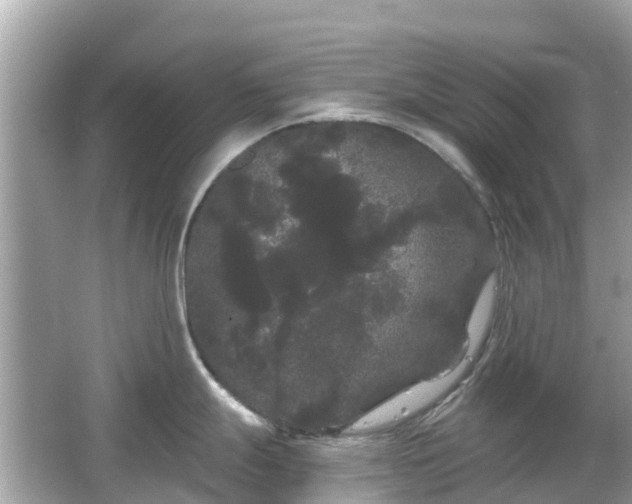 X0000066091247200603131155