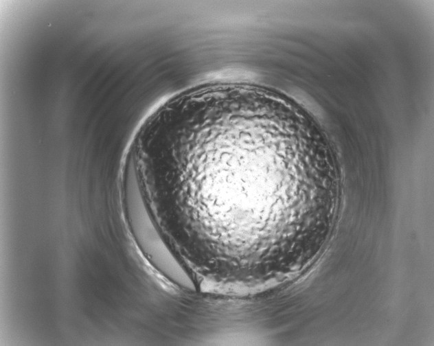 X0000066091248200603131155