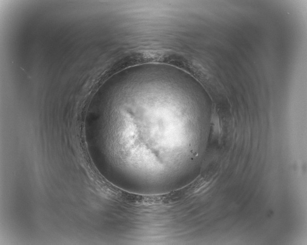 X0000066091249200603131155