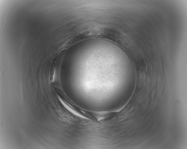 X0000066091250200603131155