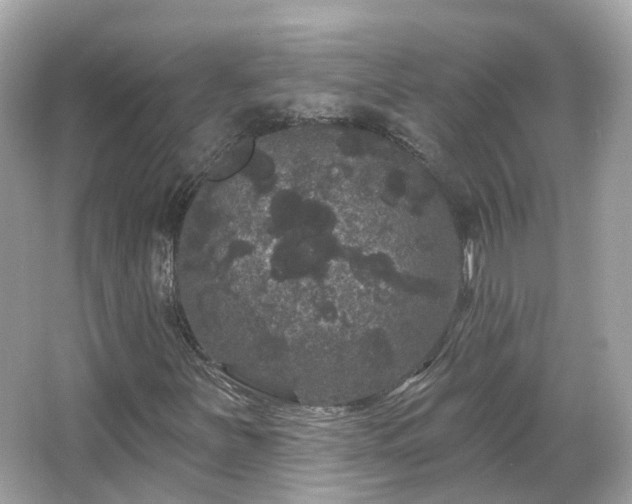 X0000066091251200603131155