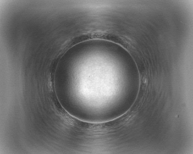 X0000066091252200603131155