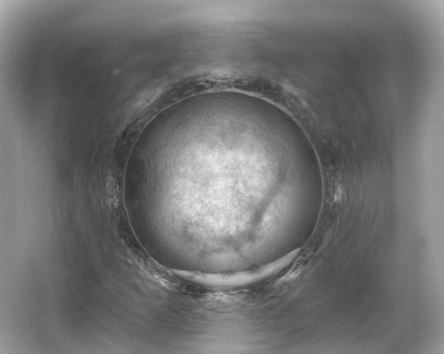 X0000066091253200603131155