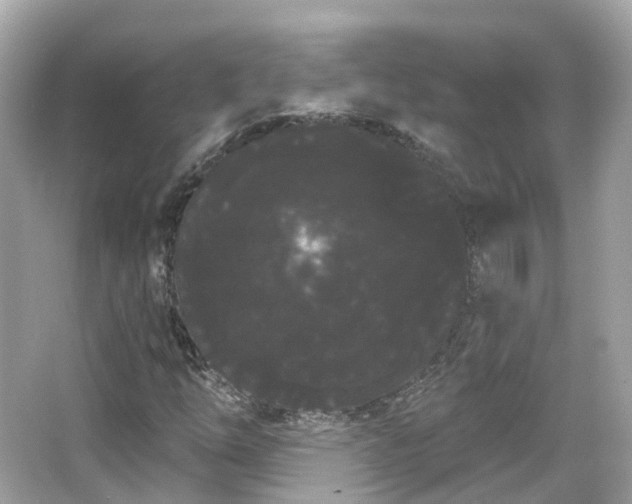 X0000066091254200603131154