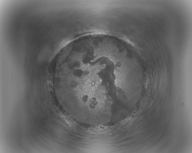 X0000066091255200603131154