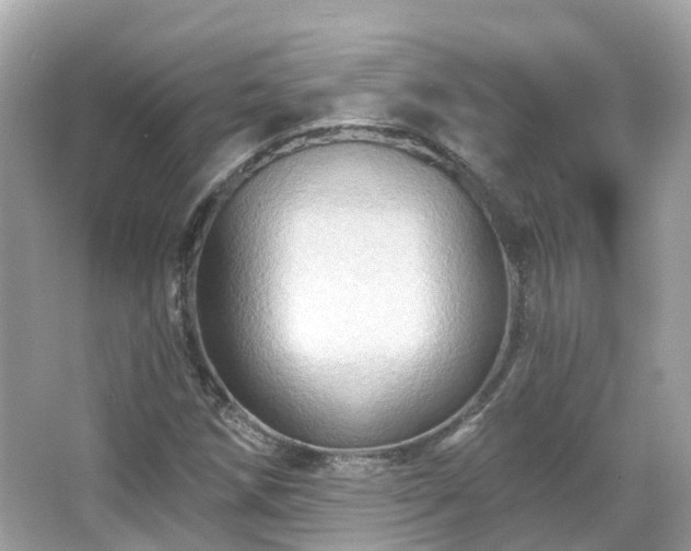 X0000066091258200603131154