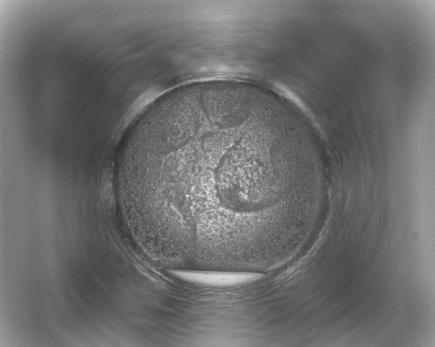 X0000066091259200603131154