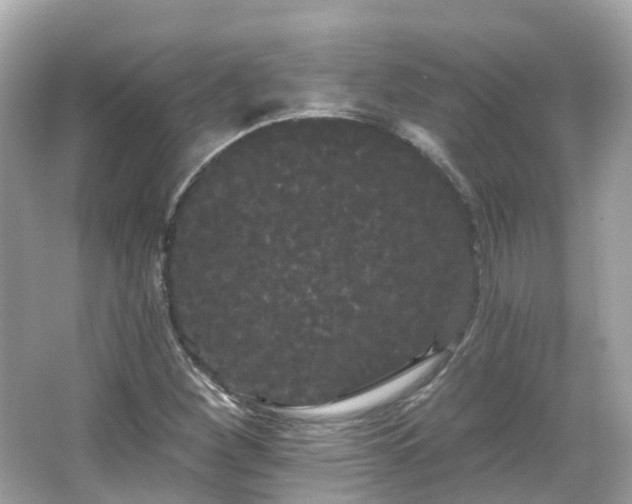 X0000066091260200603131154