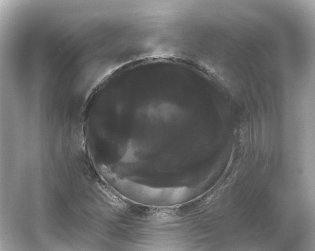 X0000066091262200603131154