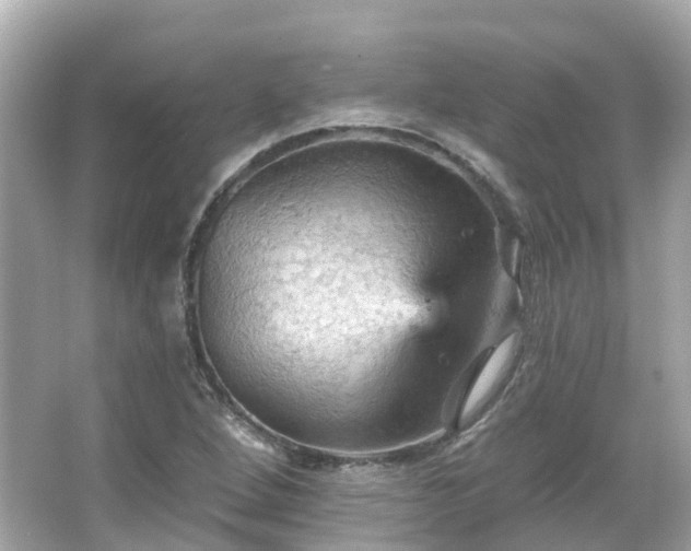 X0000066091264200603131154