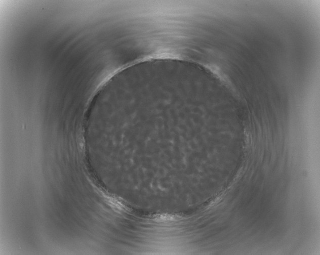 X0000066091266200603131154