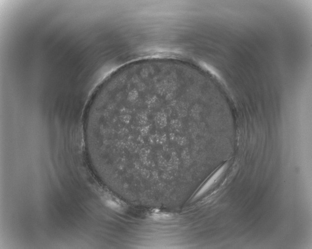 X0000066091267200603131154