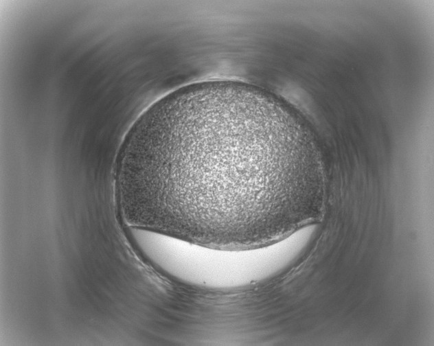 X0000066091268200603131154