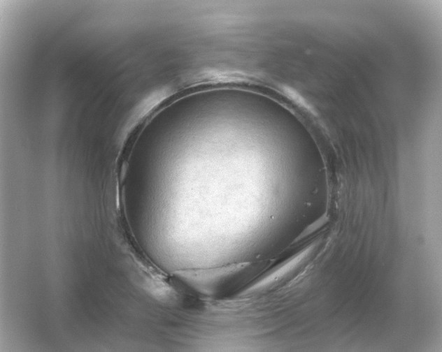 X0000066091269200603131154