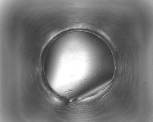 X0000066091270200603131154