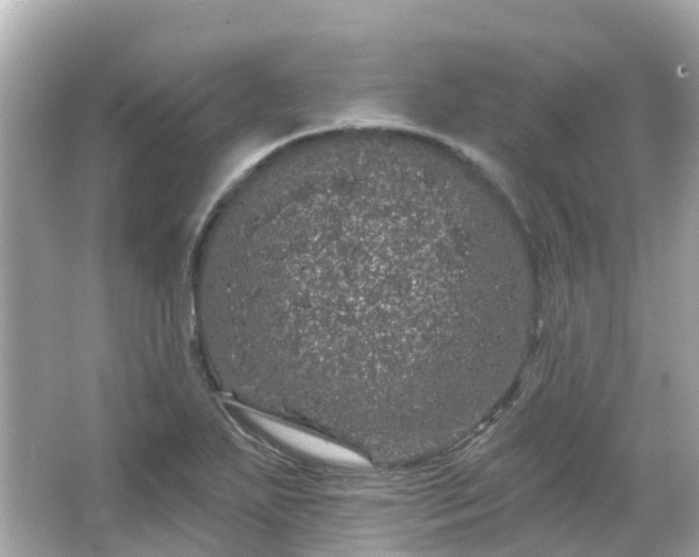 X0000066091271200603131154