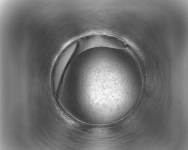 X0000066091272200603131154