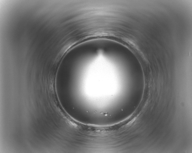 X0000066091273200603131154