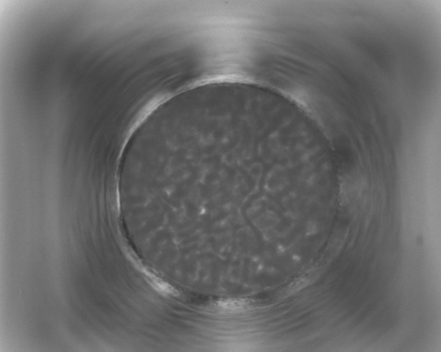 X0000066091274200603131154