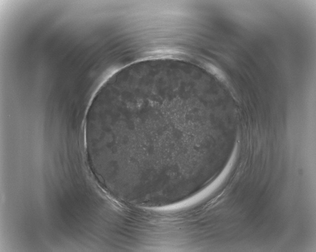 X0000066091275200603131154