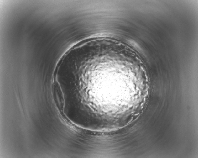 X0000066091276200603131154