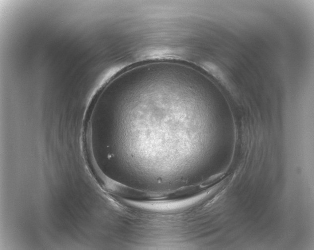 X0000066091277200603131154