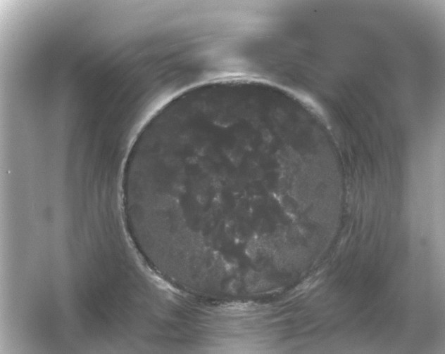 X0000066091279200603131154