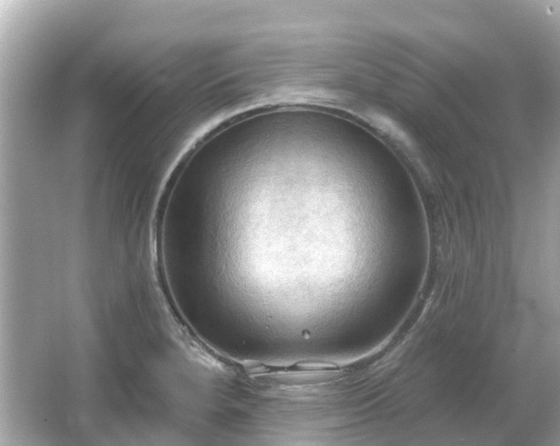 X0000066091280200603131154