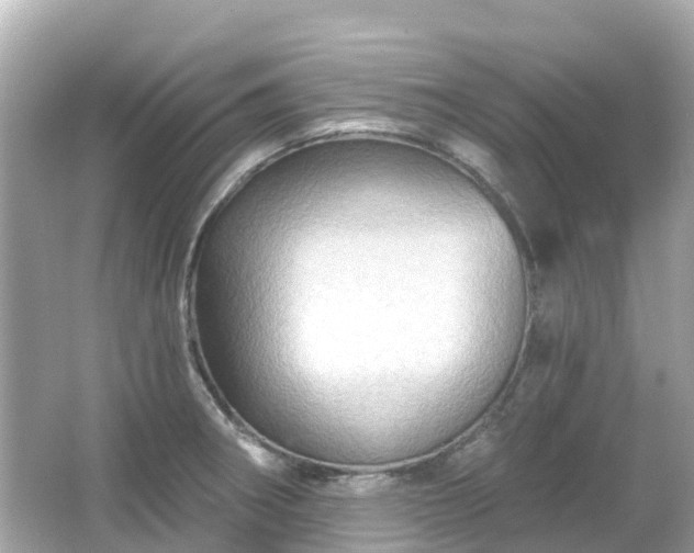 X0000066091282200603131154