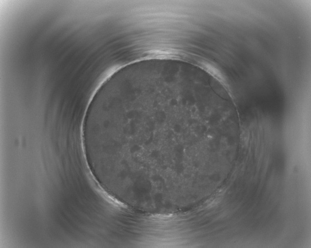 X0000066091283200603131154