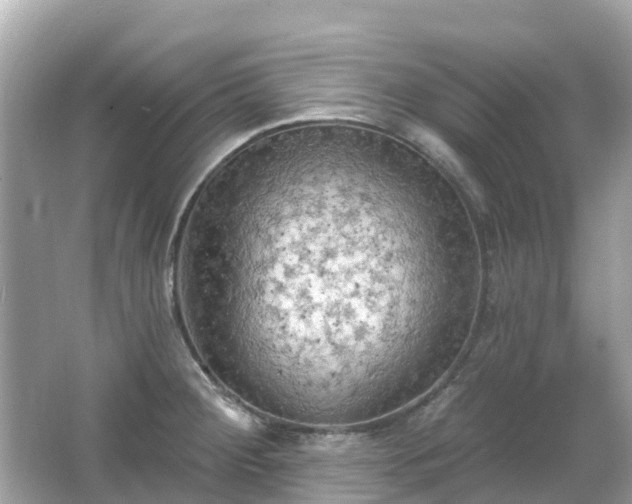 X0000066091284200603131154