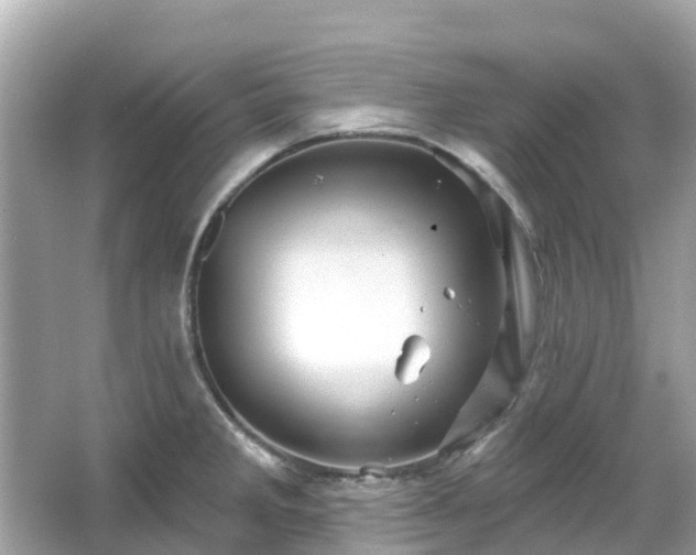 X0000066091285200603131154