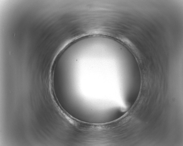 X0000066091286200603131154