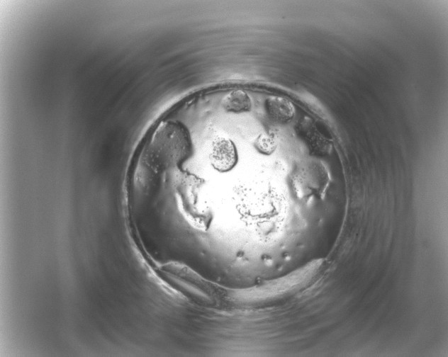 X0000066091287200603131154