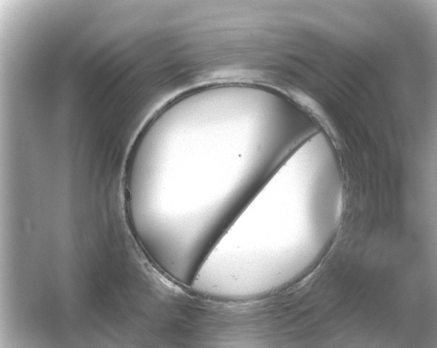 X0000066091288200603131154