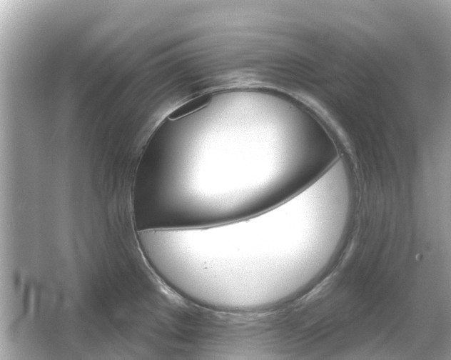 X0000066091289200603131154