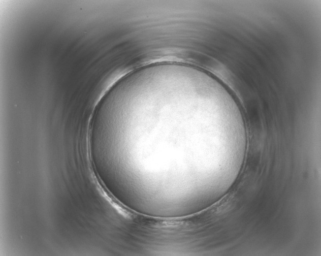 X0000066091290200603131154