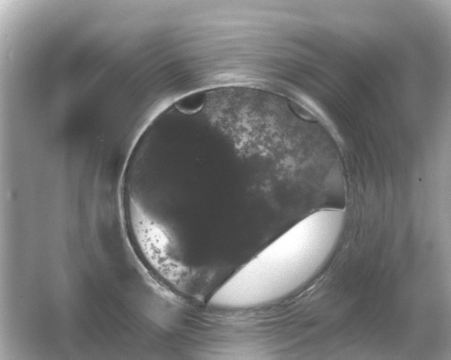 X0000066091291200603131154